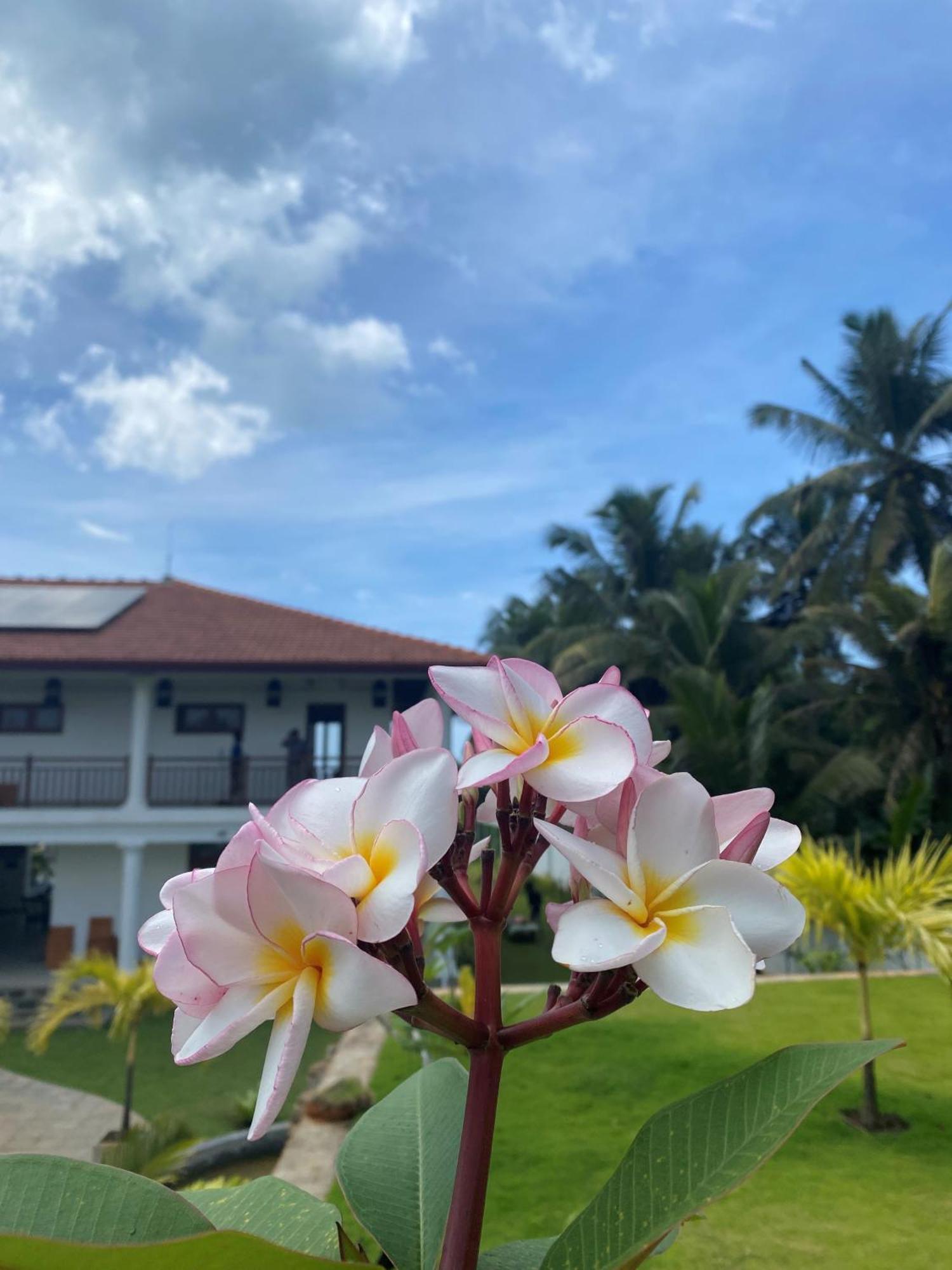 Sea Star Boutique Hotel Hikkaduwa Esterno foto
